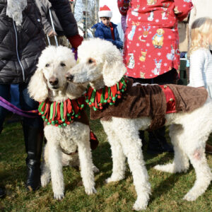 12th Annual Pooch Parade